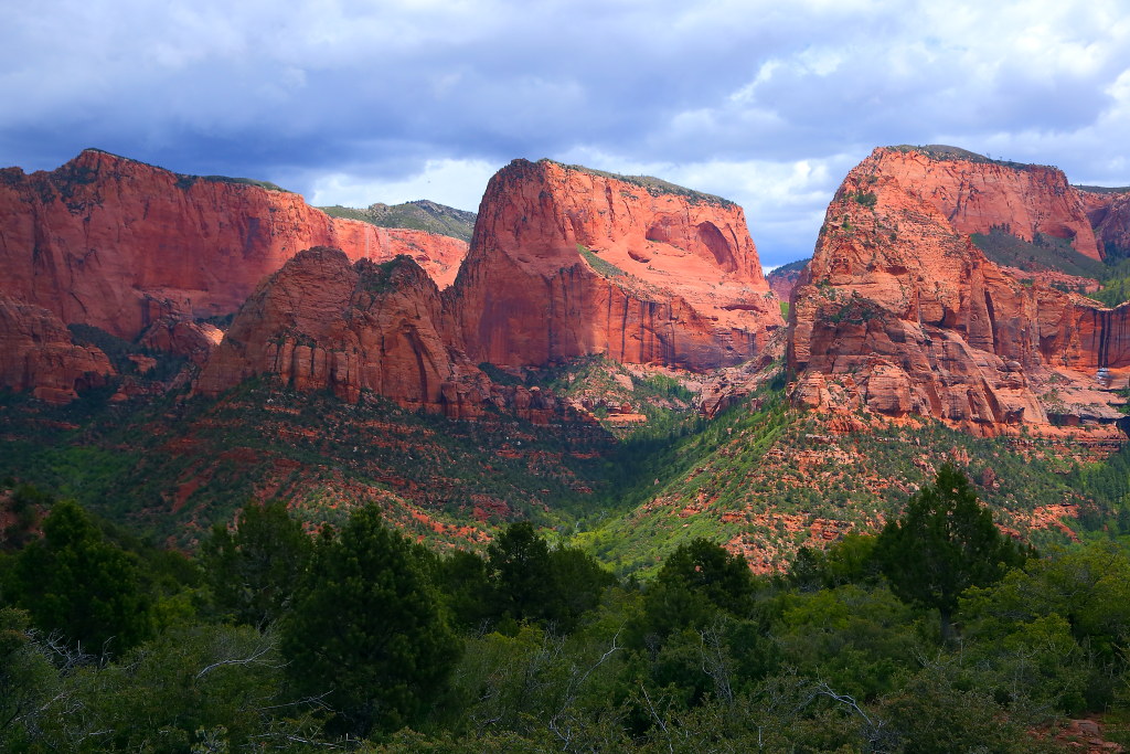 Springdale And Zion National Park